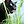kattyeyes - Frequent Poster